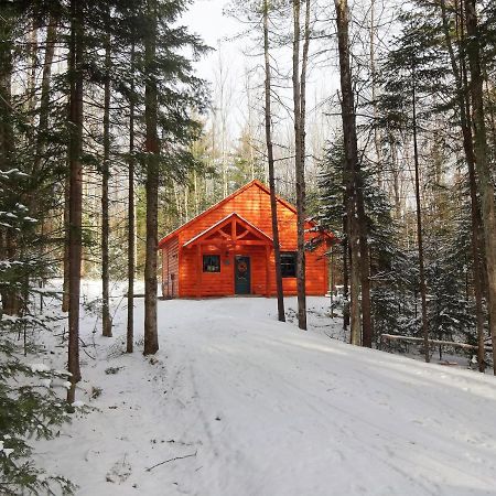 Robert Frost Mountain Cabins Middlebury Ngoại thất bức ảnh